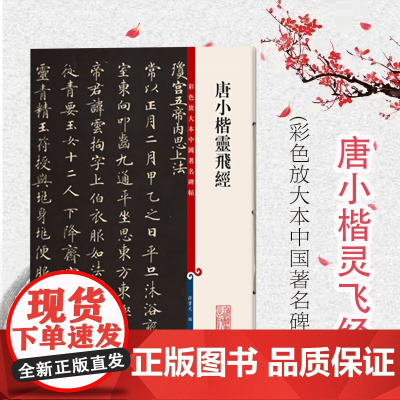 唐小楷灵飞经(彩色放大本中国著名碑帖) 孙宝文 书法碑帖 上海辞书 世纪出版 图书籍