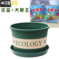 三维工匠塑料玫瑰盆栽花肉肉绿萝月季专用加伦树脂家用特大号超大加仑花 [2个盆]+大肥王3包 矮胖7.6L(口径2花盆容器