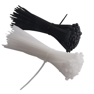 XD JX.XINGDIAN 尼龙扎带 100条/袋