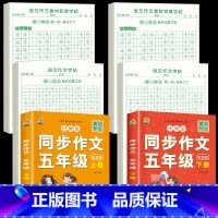 [5年级上下册]同步作文+同步作文字帖+素材积累字帖 [正版]五年级上册同步作文语文练字帖人教版同步满分作文素材积累字帖
