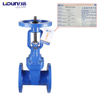 力盾 法兰明杆弹性座封闸阀 6541 DN50 台