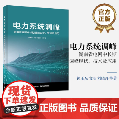 店 电力系统调峰 湖南省电网中长期调峰现状、技术及应用 促进新能源消纳的湖南省电网多类型用户负荷调峰关键技术介绍书