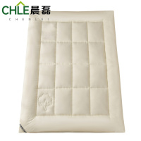 晨磊床褥子4斤/条