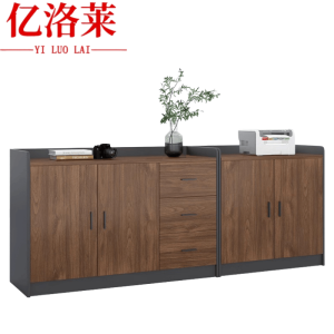 亿洛莱 办公柜 200*40*80cm 个