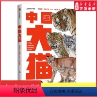 [正版]中国大猫吕植著荣获2022年中国好书奖虎雪豹兔狲荒漠猫等13种中国猫科动物全纪录科学有趣的科普笔记动物科普书店