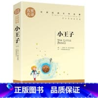 小王子 [正版]小王子小学生初中生课外阅读书世界经典文学名著cs