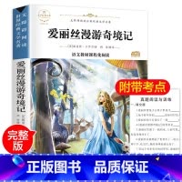 [正版]爱丽丝漫游奇境 六年级老师 爱丽丝漫游奇境记原著书下必读课外书 爱丽丝梦游仙境下册 课外阅读书籍