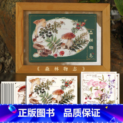[正版]森林物志 吉积原创植物花卉风景插画 14张日番美绘创意复古清新治愈插画作品明信片感受对大自然的热爱以及对悠然生