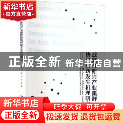 正版 战略性新兴产业集群协同创新发生机理研究 张敬文 经济管理