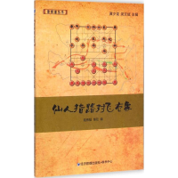 [M]仙人指路对飞右象-9787509633557