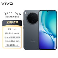 vivo Y600 Pro 皓月黑 8GB+256GB 10200mAh耐超低温蓝海电池 耐久抗摔防水 寰宇增强通信3.0 AI 5G手机