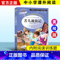 苦儿流浪记 [正版]绿野仙踪三四年级课外书必读老师的快乐读书吧木偶奇遇记二年级上册下册课外阅读书籍秘密花园绿山墙的安妮小