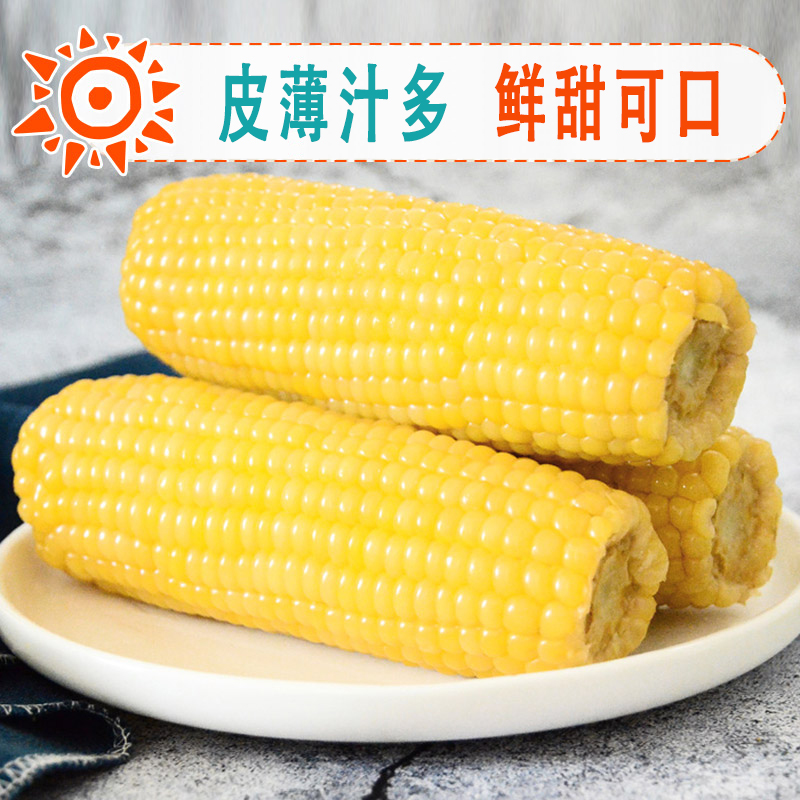 当季纯正东北水果甜玉米--奥弗兰甜玉米240g*8根