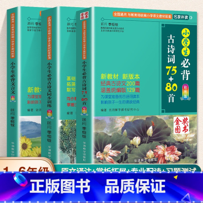 小学生必背古诗词+同步训练+文言文 小学通用 [正版]2024新 小学生必背古诗词75十80首 人教版注音版 古诗大全上