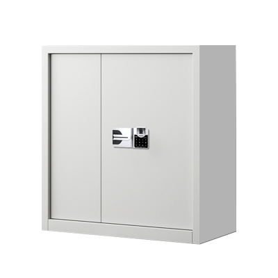 湘渭指纹电子保密柜钢制密码文件柜档案柜矮柜资料柜办公柜单节白色国保指纹