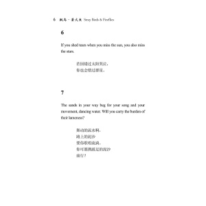 飘鸟·萤火虫