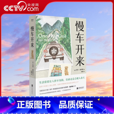 [正版]央视网慢车开来 Goodreads读者选择年度小说提名 遇见你之前/点亮星星的人作者新作 外国文学小说书籍GC