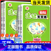 [单本]速记天天练 科学 教科版 四年级上 [正版]2024版励耘速记天天练三年级四年级五年级六年级上册下册科学教科版小