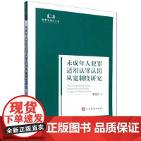 2024新书 未成年人犯罪适用认罪认罚从宽制度研究 邢进生 著 中国检察出版社 9787510230141
