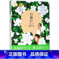 白栅栏/曹文轩作品/名师带你读 [正版]白栅栏/曹文轩作品/名师带你读