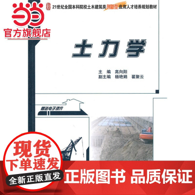 土力学 高向阳著9787301173558北京大学出版社21世纪全国本科院校土木建筑类创新型应用人才培养规划教材正