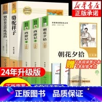 新七年级2024升级版[人教版-七上/下册必读5本]朝花夕拾+西游记+钢铁是怎样炼成的+骆驼祥子 赠考点 [正版]骆驼祥