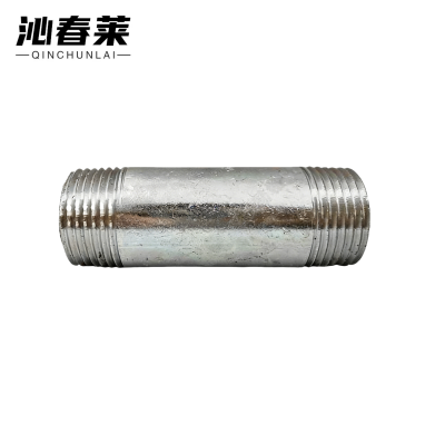 沁春莱 镀锌长对丝 DN20*20cm 根