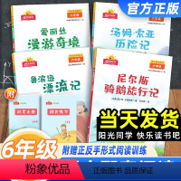 快乐读书吧[4本套] 六年级下 [正版]2024新版阳光同学快乐读书吧六年级下册鲁滨逊漂流记汤姆索亚历险记爱丽丝漫游奇境