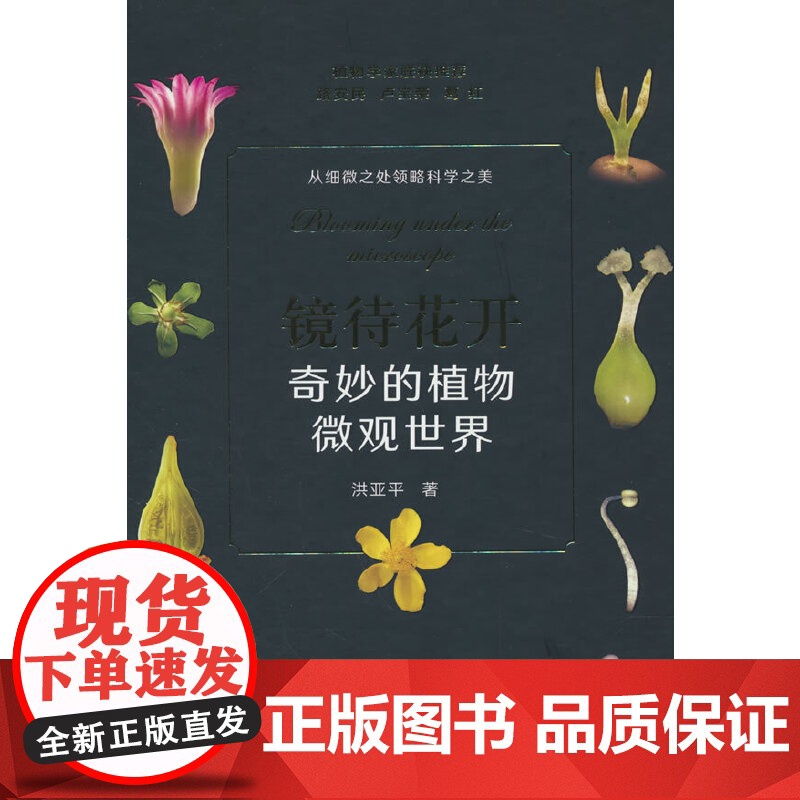 镜待花开 奇妙的植物微观世界