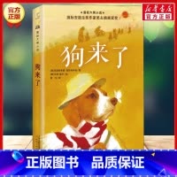 狗来了 [正版]任选国际大奖小说系列蓝色的海豚岛女版鲁滨逊荒岛求生冒险勇气与爱融合的治愈作品小学生三四五年级课外读物寒暑
