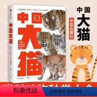 [正版]中国大猫 吕植著中国国家地理科普读物 猫图鉴猫百科全书猫科生物图鉴猫科动物图鉴 出版社