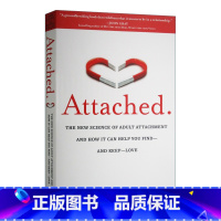 关系的重建 [正版]英文原版 Straight Talk No Chaser 直言不讳 如何找到 留住和理解男人 史蒂