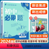 数学-北师版 [正版]2024版初中必刷题八年级下册数学北师版初二8八下BS初中复习资料初中同步练习册初二数学必刷题辅导