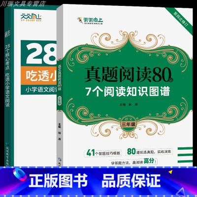 [三年级丨全2册]核心考点+真题阅读80篇 小学通用 [正版]28个核心考点吃透小学语文阅读一二三四五六年级人教版阅读理