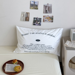 纯棉单品枕套数码印花单件枕头罩全棉枕芯内胆套罩ins风混搭卧室