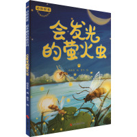 动物探索·超有趣的动物百科:会发光的萤火虫(四色)