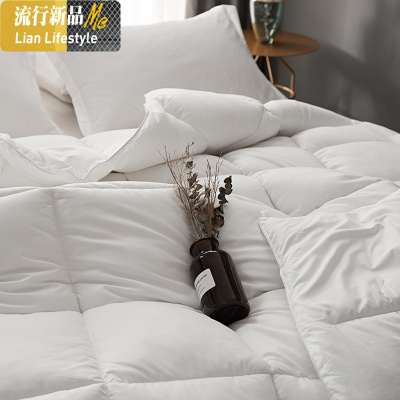 冬天大豆纤维被子冬被加厚保暖被褥春秋棉被单人双人太空被芯8斤 三维工匠