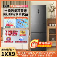 容声(Ronshen)252升三门多门电冰箱变频一级能效节能家用风冷无霜租房小型超薄冰箱 BCD-252WD18NP