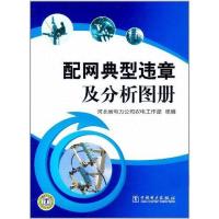 正版新书]配网典型违章及分析图册河北省电力公司农电工作部9787