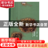 正版 记忆·流星 徐晨阳 徐晨阳著 湖南美术出版社 9787535685810