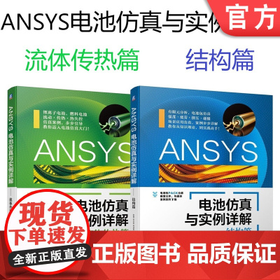 套装 正版 ANSYS电池仿真与实例详解 共2册 流体传热篇 结构篇 井文明 宋述军 张寅 电化学 热电耦合 失控