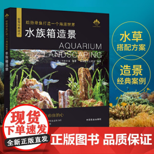 给热带鱼打造一个海底世界 水族箱造景从入门到精通水族箱鱼缸造景入门教程书时尚生活水草造景艺术栽培造景水草造景书水景制作