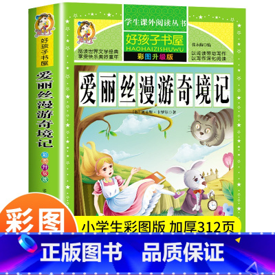 [正版]爱丽丝漫游奇境记 彩色图案升级版小学生课外书读物一二年级三四五阅读故事书籍8-9-10-12-15岁 青少年版爱