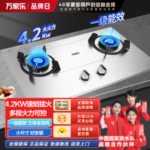 万家乐燃气灶 4.2kw大火力天然气灶 台嵌两用燃气灶 一级能效 家用不锈钢天然气灶具KA031 4.2kw不锈钢-天然