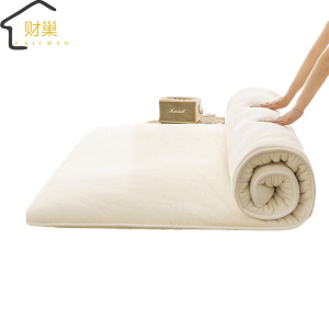 财巢 褥子 120*200cm 4斤 /床