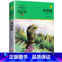 保姆蟒 [正版]沈石溪动物小说品藏书系列全集36册 斑羚飞渡第七条猎狗后一头战象雪豹悲歌珍藏版全套画本生肖