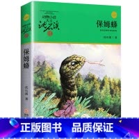 保姆蟒 [正版]沈石溪动物小说品藏书系列全集36册 斑羚飞渡第七条猎狗后一头战象雪豹悲歌珍藏版全套画本生肖
