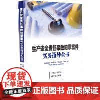 生产安全责任事故犯罪案件实务指导全书 中国法制出版社 9787509399804 审判热点精选典型案例剖析背后法理 法律