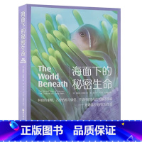 [正版]海面下的秘密生命 理查德史密斯 古怪的海马情侣 开诊所的鱼和它的的骗子亲戚 珊瑚礁居民的忙碌生活