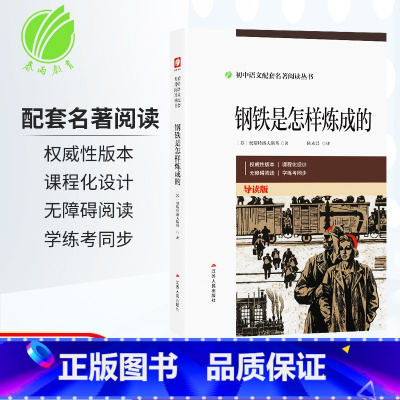 单本全册 [正版]钢铁是怎样炼成的八年级初中语文配套名著阅读丛书课外无障碍阅读